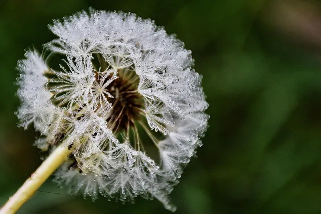 Recent Featured Image 3